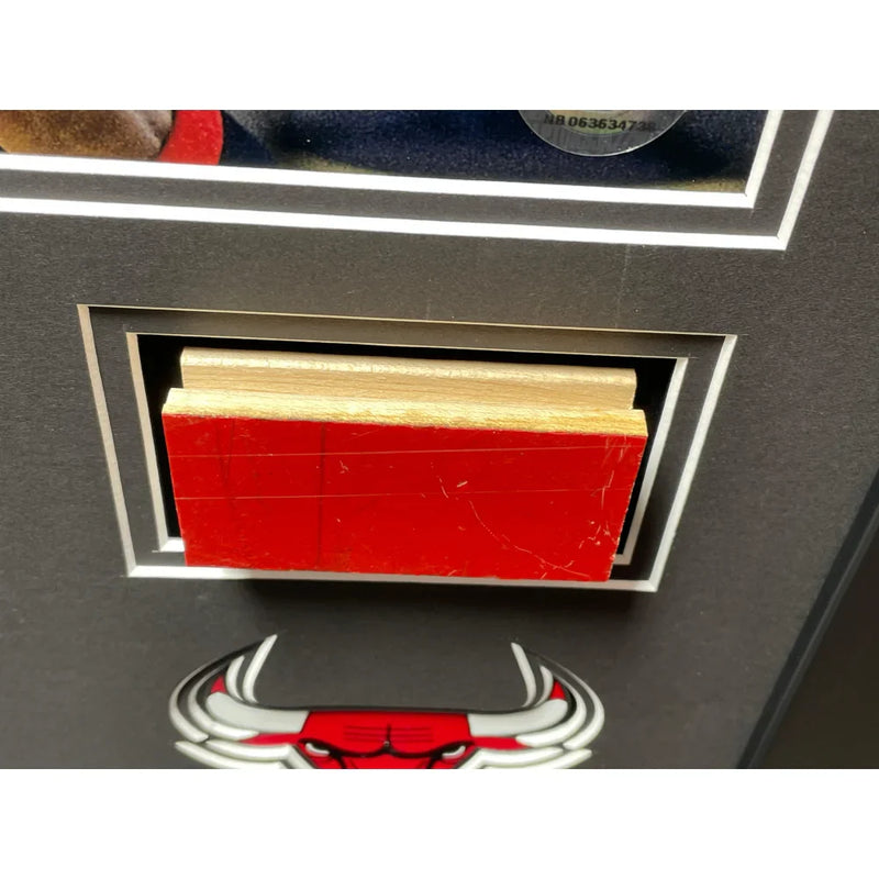 Michael Jordan / Magic Johnson Authentic Game Used Chicago Bulls LA Lakers Floors Framed Team Coas