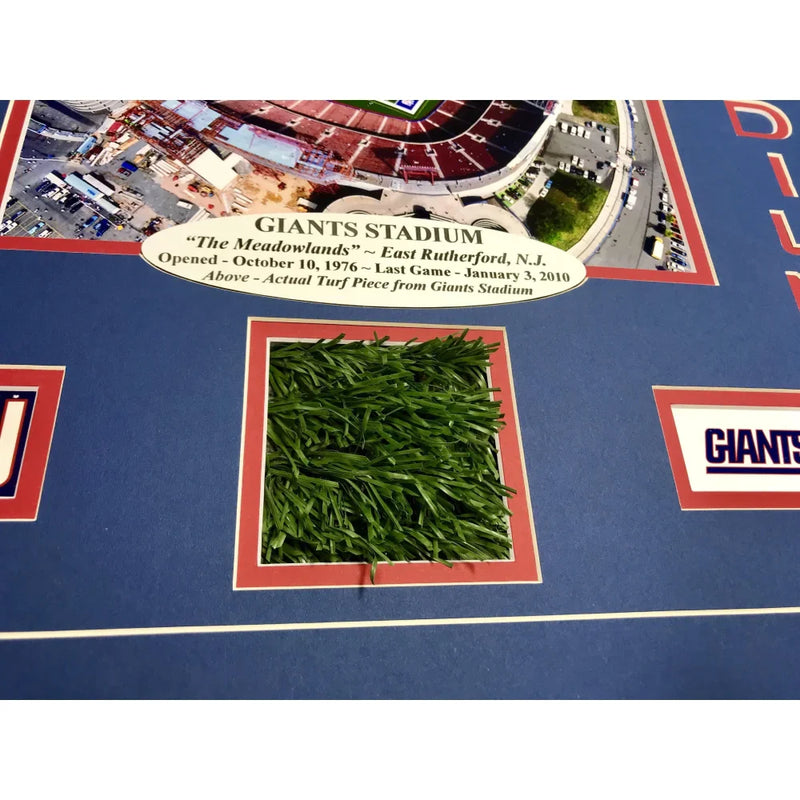NY "Giants Stadium" Authentic Game Used Turf Framed Collage COA New York Photo