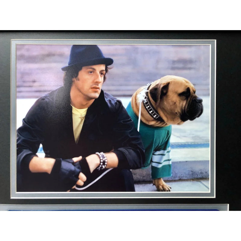 "Rocky IV" Sylvester Stallone Movie Car License Plate Framed Collage