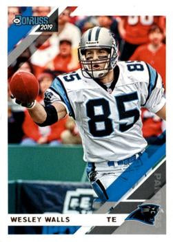 Wesley Walls 2019 Donruss Football 48 Card Lot Carolina Panthers #48